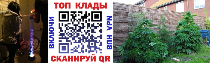 Все наркотики Сосновый Бор АМФЕТАМИН блэк спрут ССЫЛКА ГАШ COCAIN Меф мяу мяу