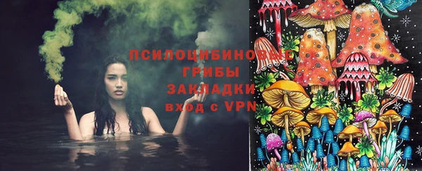 трава Арсеньев