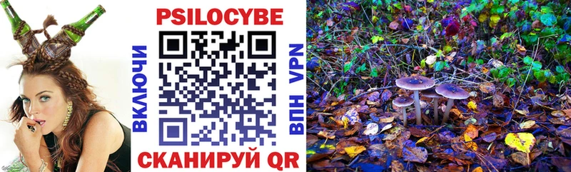 Псилоцибиновые грибы мицелий  купить наркоту  Сосновый Бор 
